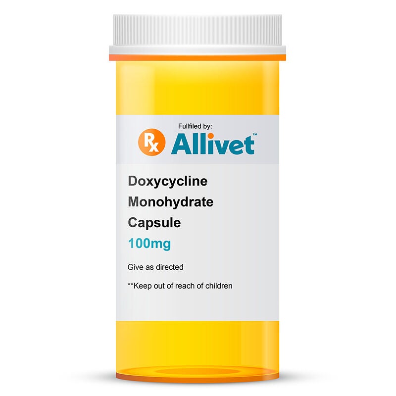 Doxycycline Monohydrate 100mg Capsule Allivet Pet Pharmacy