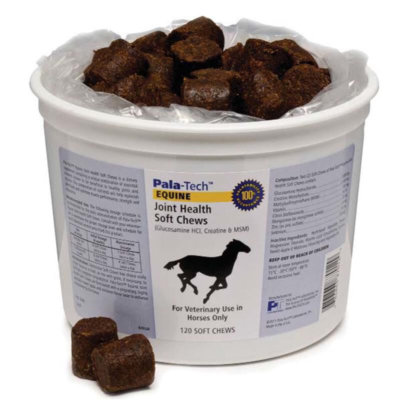 Are Horses Used For Dog Food