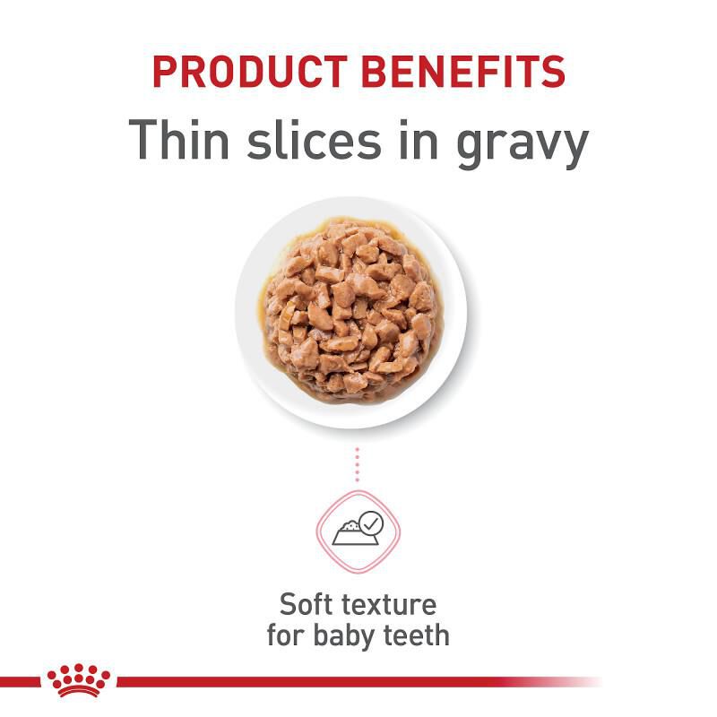 Royal Canin Feline Health Nutrition Kitten Thin Slices in Gravy Canned Cat Food, 24 x 3 oz cans