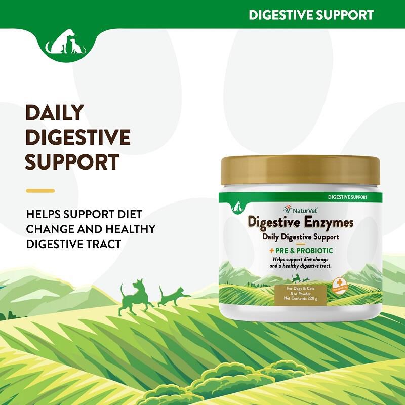 Buy NaturVet Digestive Enzymes Powder for dogs and cats