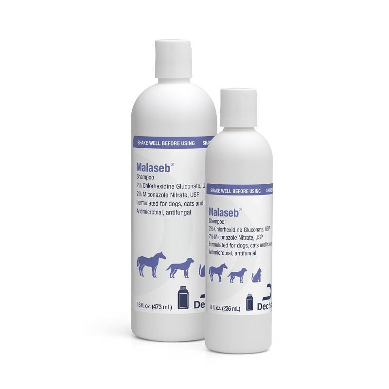 Malaseb Shampoo 8 oz, 16 oz, .5 Gallon for Dogs & Cats Allivet