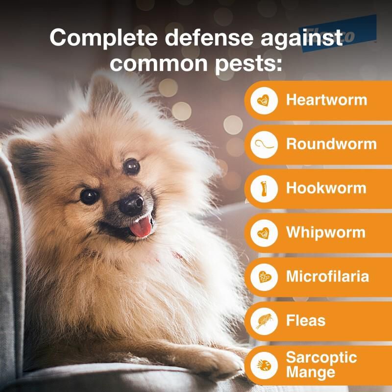 Advantage Multi for Dogs 3-9 lbs Green, 3 Month Supply