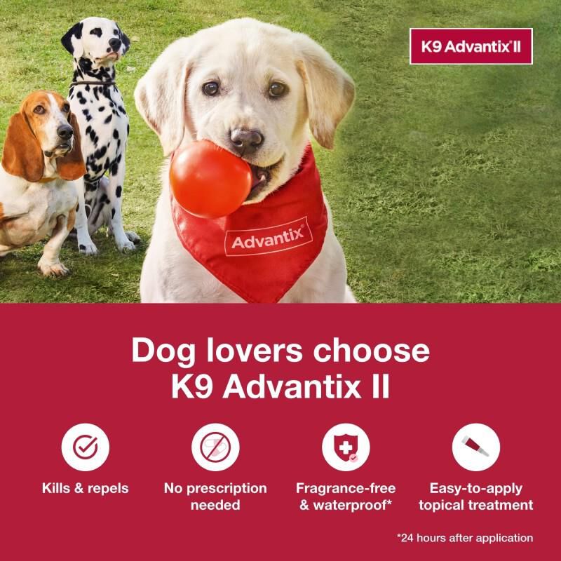 K9 Advantix II Flea and Tick Treatment for Large Dogs, 6 monthly treatments