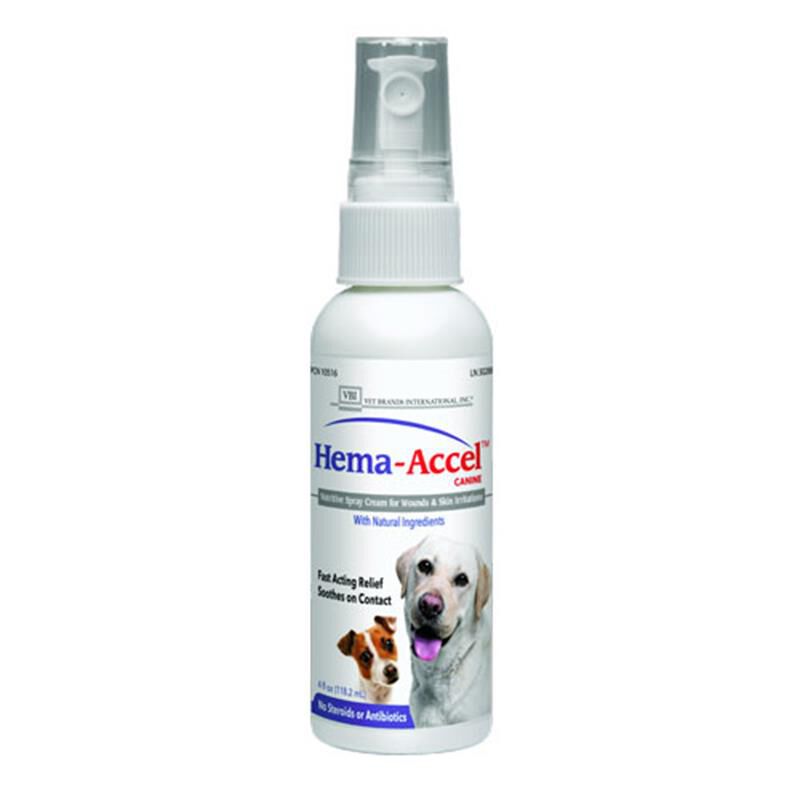 Wound Care Best Anti Itch Cream For Dogs Antibacterial Itch Cream