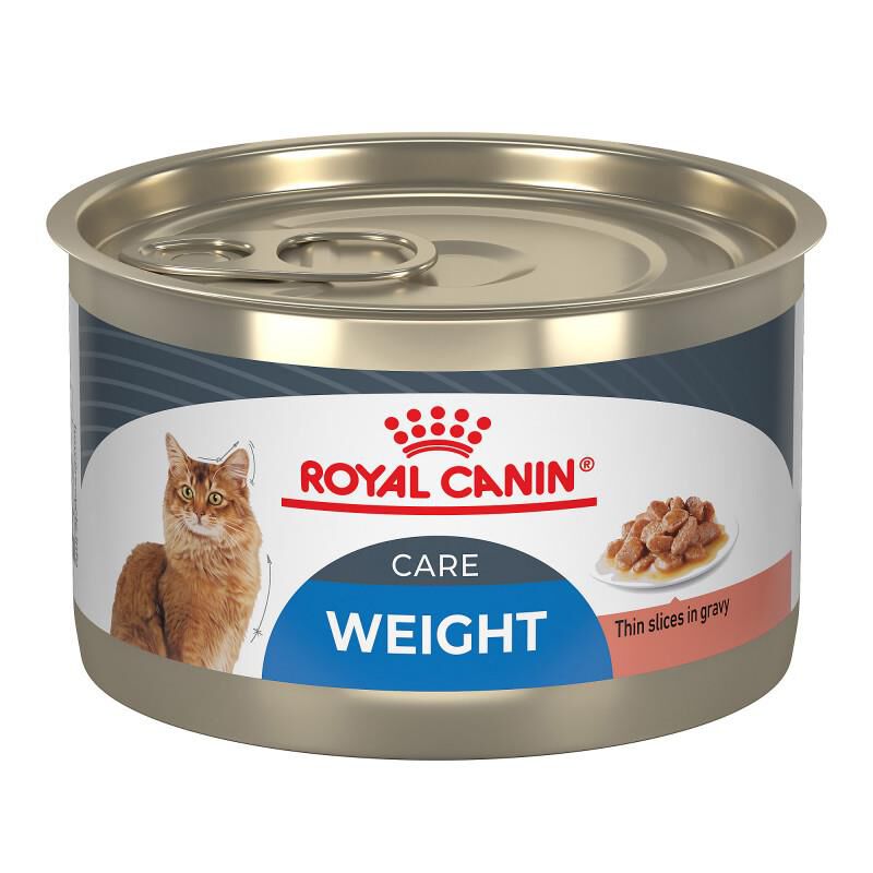 Royal Canin Feline Care Nutrition Weight Care Adult Thin Slices in Gravy Canned Cat Food, 24 x 5.1 oz cans