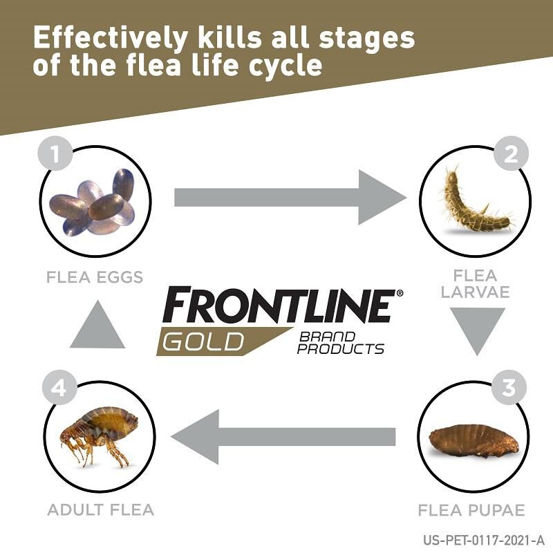 Frontline Gold for Dogs and Puppies 23-44 lbs Blue, 6 Month Supply