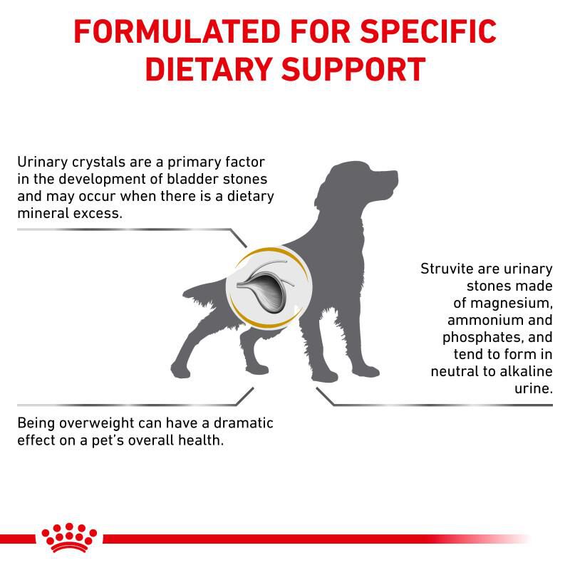 Royal Canin Veterinary Diet Adult Urinary SO Moderate Calorie Dry Dog Food