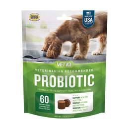 VetIQ Probiotic Hickory Smoke Flavored Soft Chews for Dogs, 60 ct