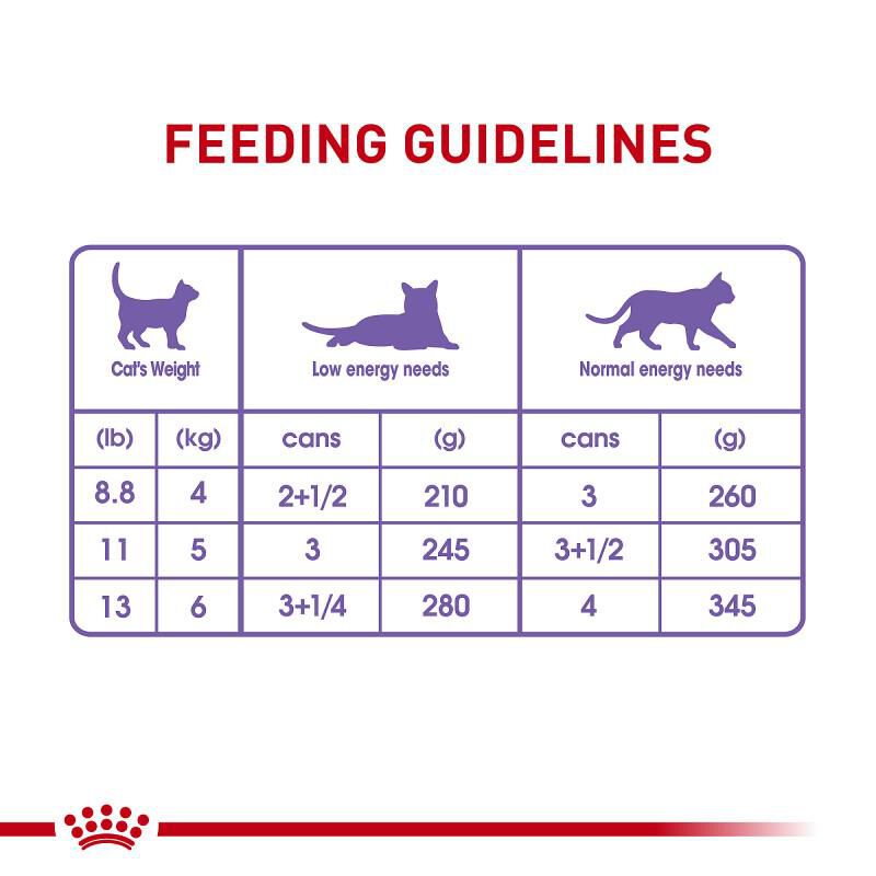 Royal Canin Feline Health Nutrition Spayed/Neutered Thin Slices in Gravy Canned Cat Food, 24 x 3 oz cans