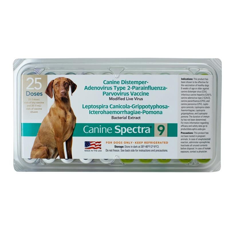 Canine Spectra 9, 25 ds tray w/o syringe
