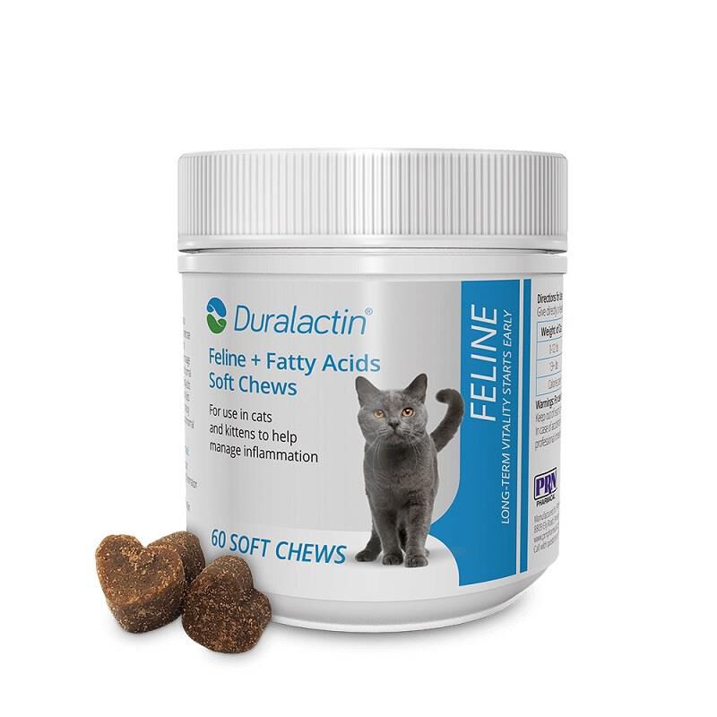 Order Duralactin Soft Chews 60 Ct for Cats