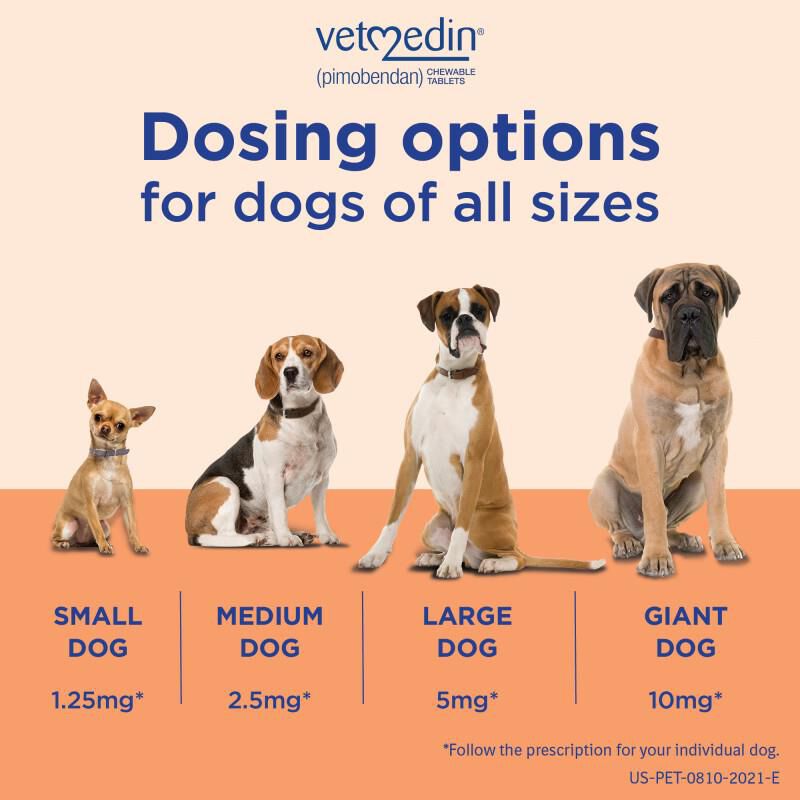 Vetmedin For Dogs 1.25mg, 2.5mg, 5mg, 10mg Allivet