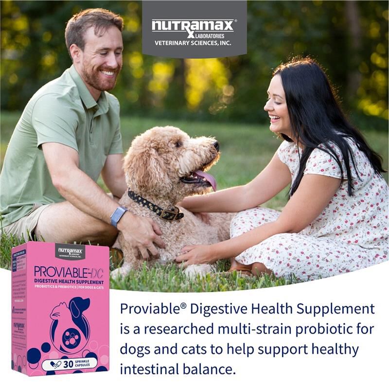 Proviable-DC  for dogs and cats 30 Capsules