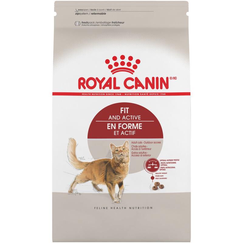 Royal Canin Feline Health Nutrition Fit And Active Adult Dry Cat Food, 3 lb bag