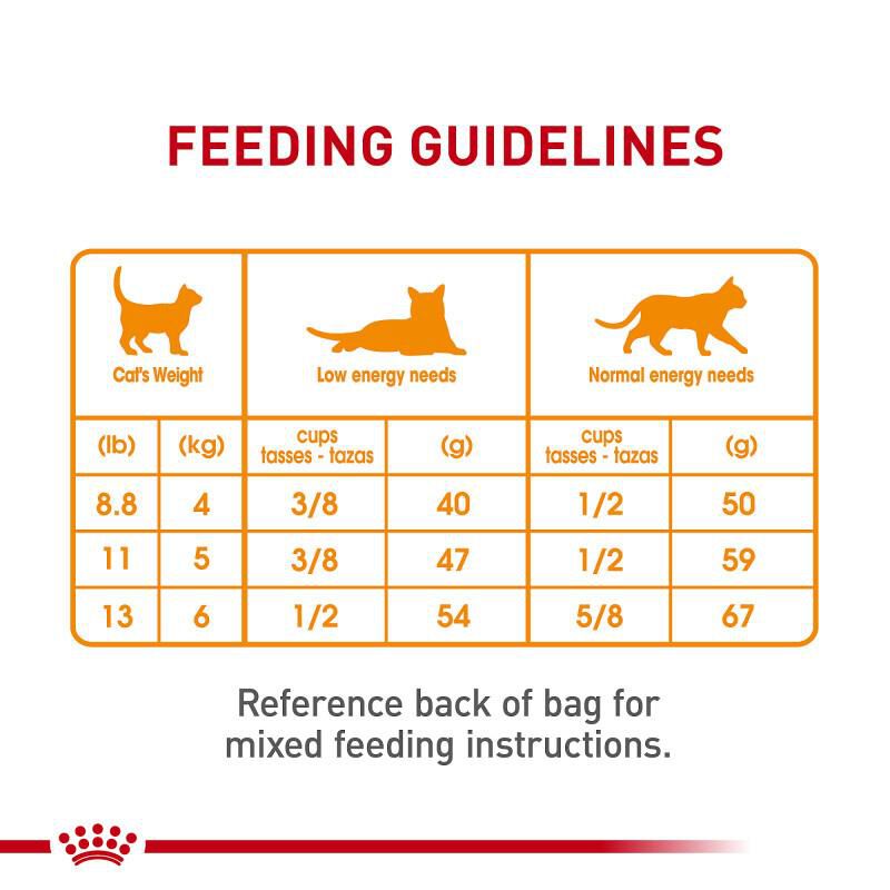 Royal Canin Feline Care Nutrition Adult Hair & Skin Care Dry Cat Food