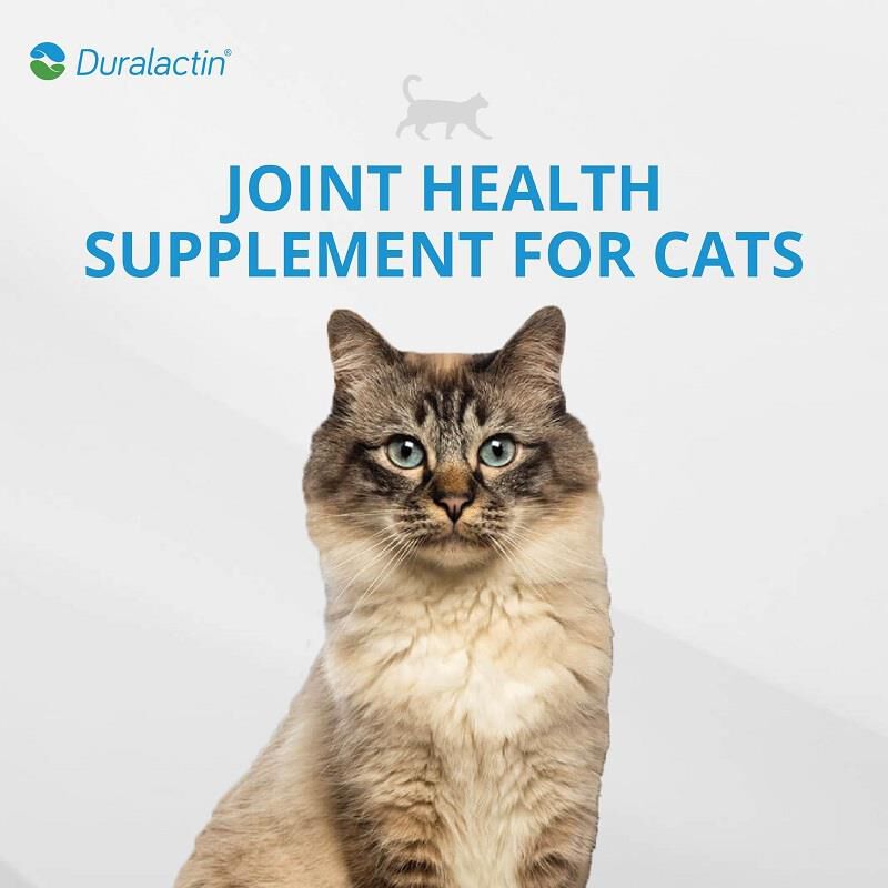 Duralactin Feline + Fatty Acids, 60 soft chews