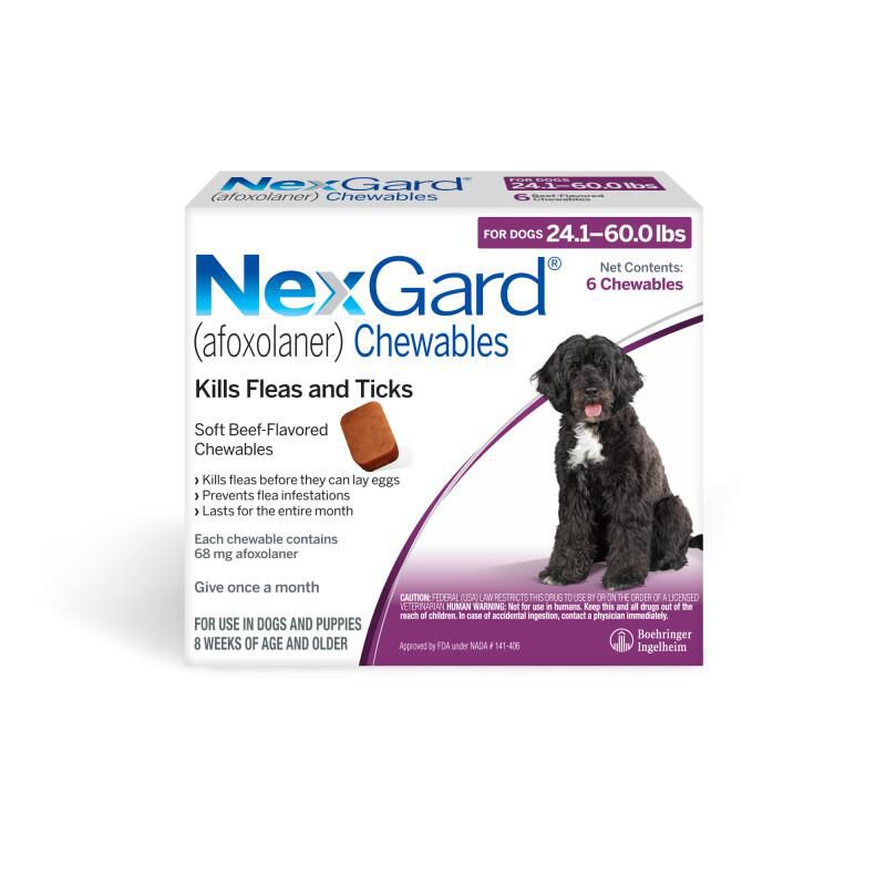 Nexgard for Dogs 24.1 - 60.0 lbs, 6 Month Supply