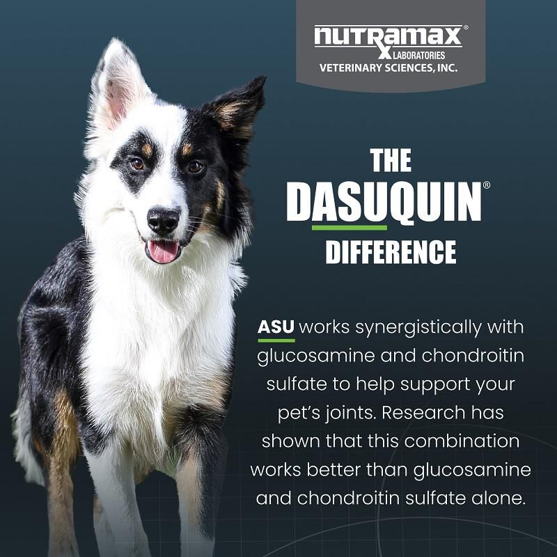 Dasuquin with MSM Soft Chews for Small & Medium Dogs under 60 lbs, 42 Ct.