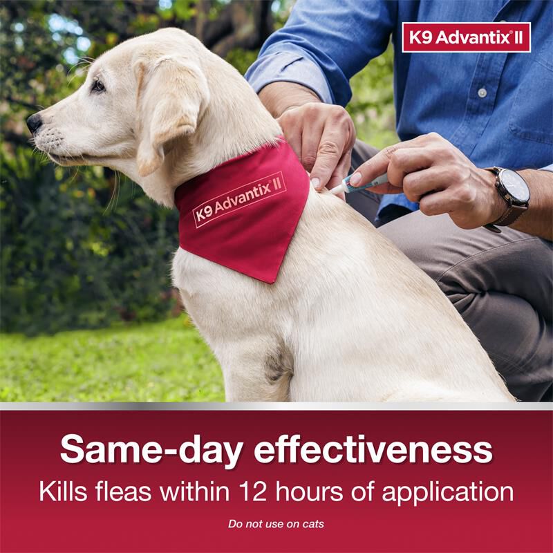K9 Advantix II for Dogs Over 55 Blue, 1 Month Supply