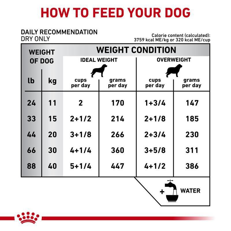 Royal Canin Veterinary Diet Adult Dental Medium & Large Breed Dry Dog Food, 7.7 lb bag