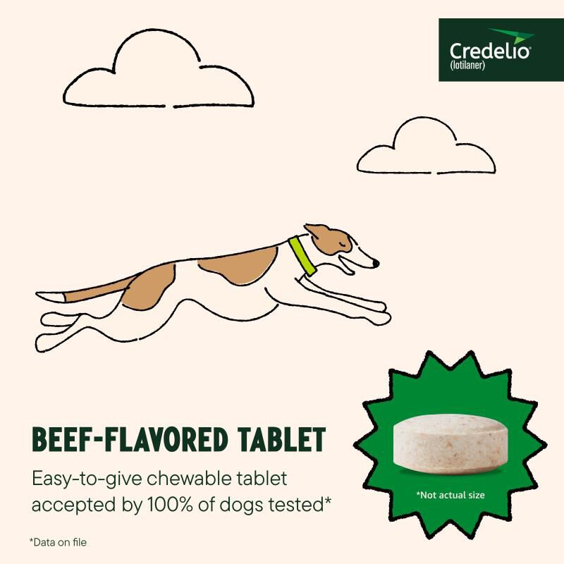 Credelio Flea & Tick Chewable Tablets for Dogs & Puppies