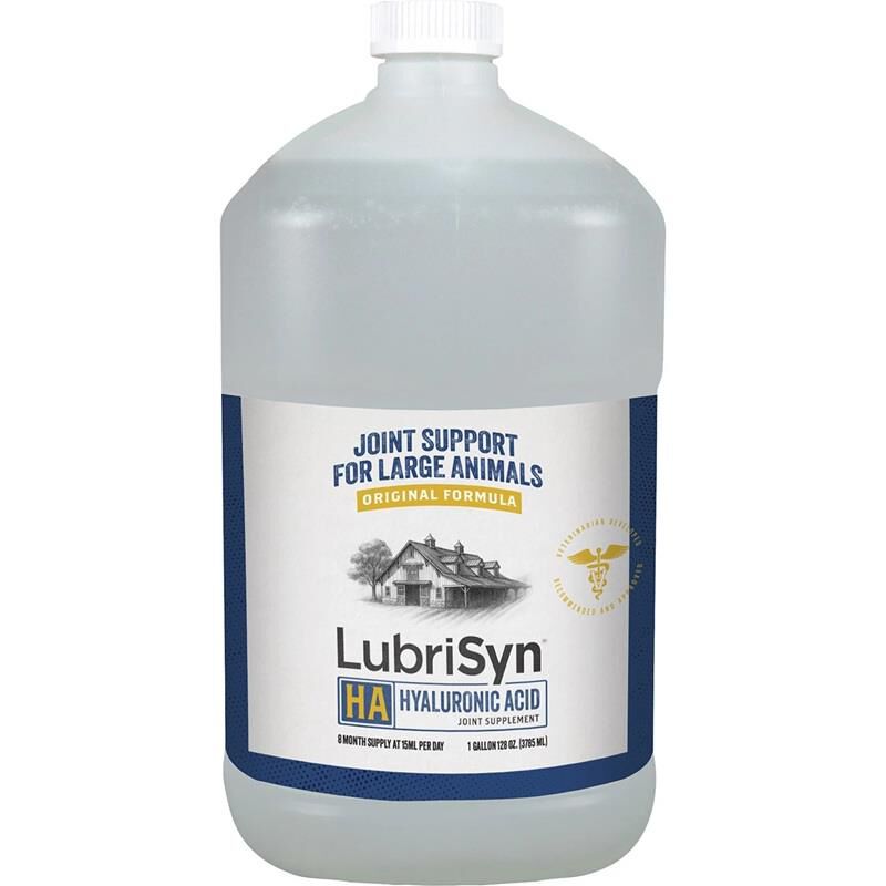 Halstrum, LLC. LubriSyn HA Pet and Equine Joint Formula Supplement for Horses, Dogs and Cats, 1 Gallon