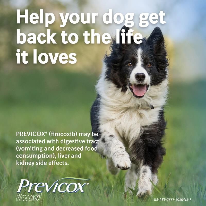 Previcox Chewable Tablets for Dogs 57 mg, 30 Ct.