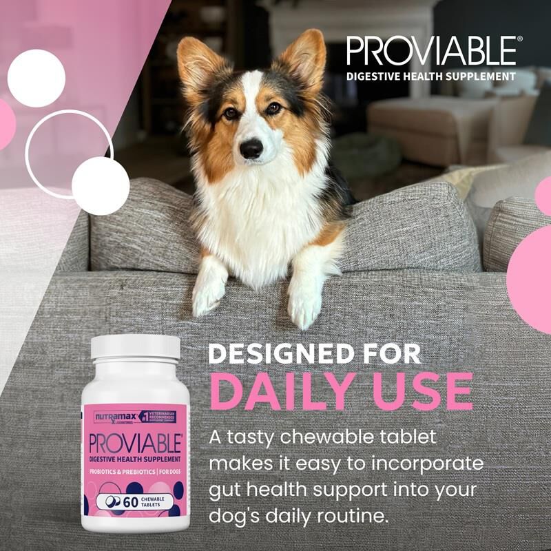 Proviable-DC Digestive Health Supplement for Dogs, 60 Chewable Tablets