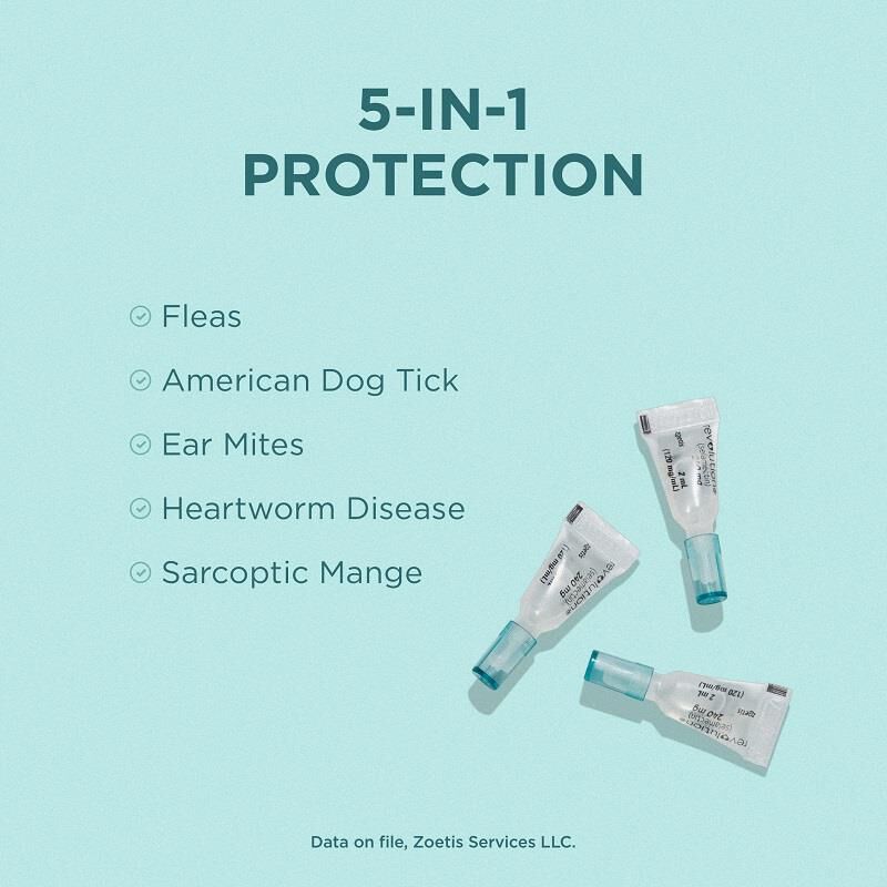 Revolution Topical for Dogs 40.1-85Teal, 3Month Supply