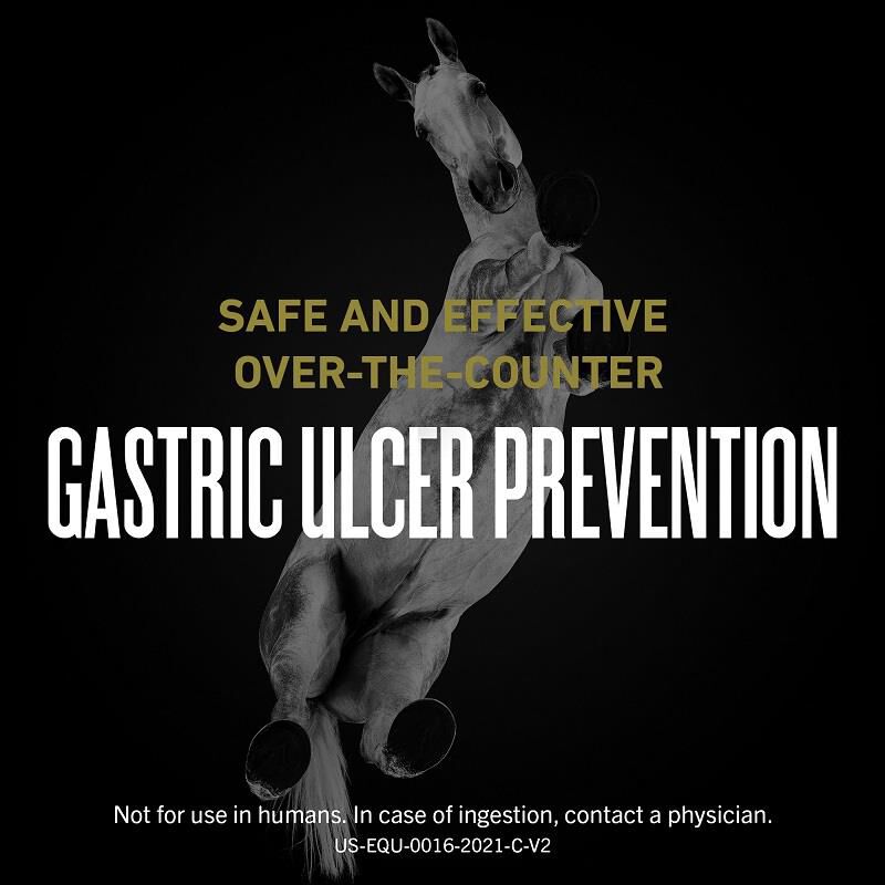 UlcerGard Paste Omeprazole Horse Paste Allivet