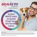 Bravecto Topical Solution for Dogs, 22 - 44 lbs 500 mg Green