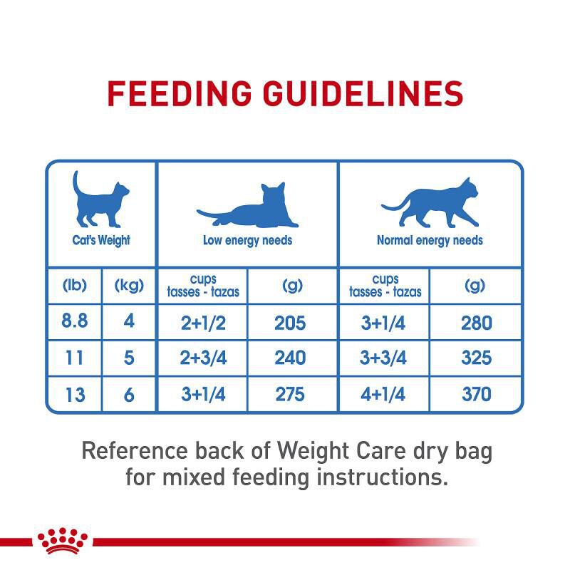 Royal Canin Feline Care Nutrition Adult Weight Care Thin Slices in Gravy Canned Cat Food, 24 x 3 oz cans