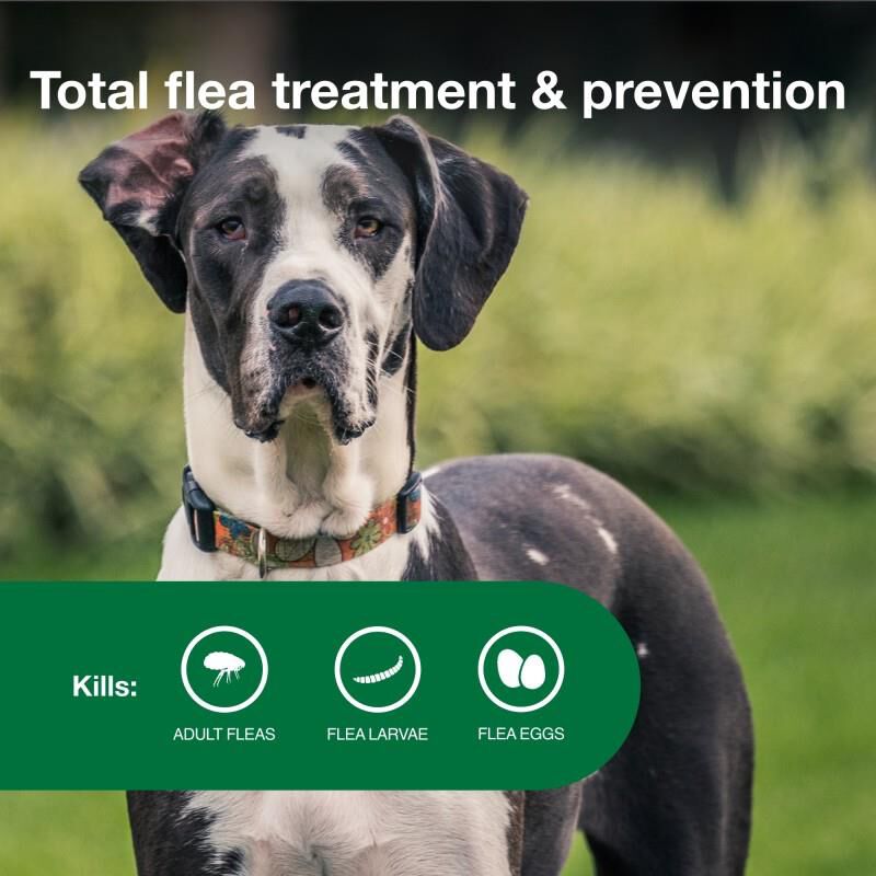 Advantage II Flea Prevention for Extra Large Dogs, 4 monthly treatments