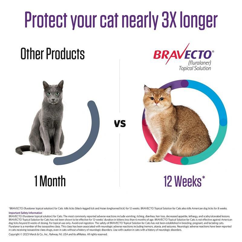 Bravecto Topical Solution for Cats, 6.2 - 13.8 lbs 250 mg Blue