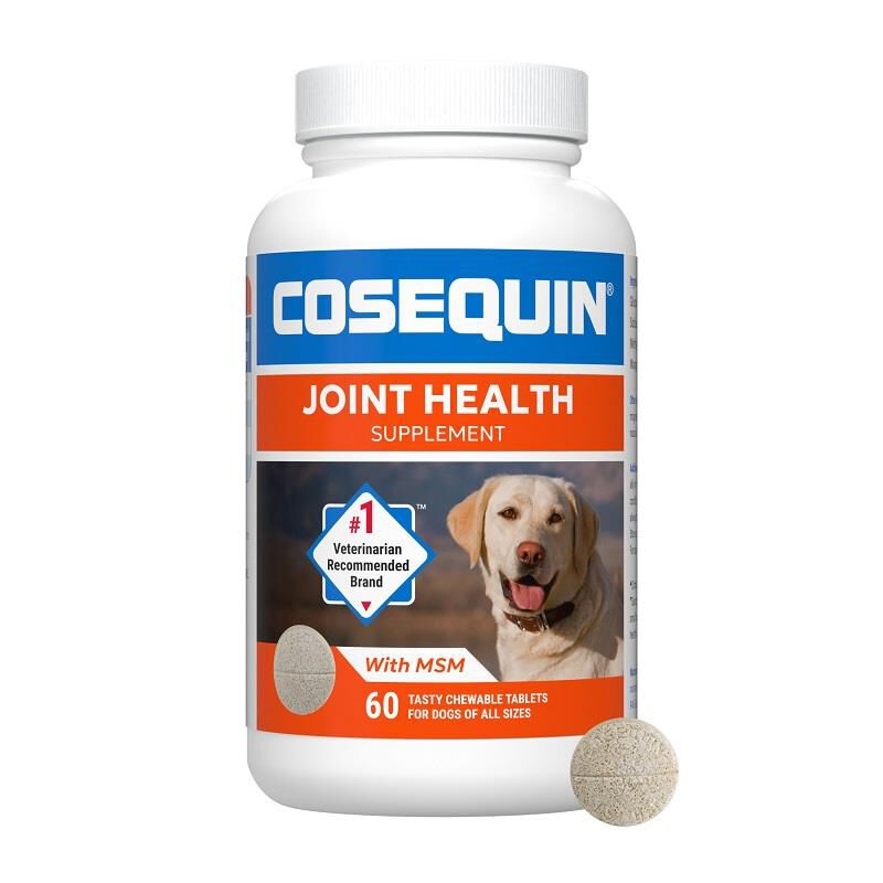 Cosequin Chews Plus MSM 60 Ct