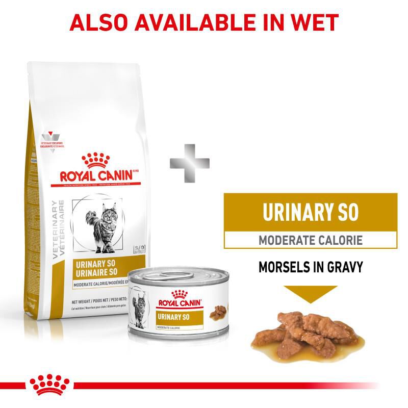 Royal Canin Veterinary Diet Adult Urinary SO Moderate Calorie Dry Cat Food, 6 lb bag