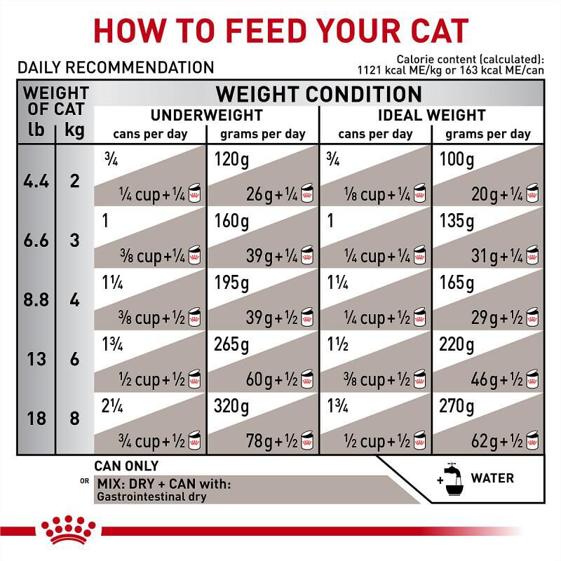 Royal Canin Veterinary Diet Adult Gastrointestinal Loaf in Sauce Canned Cat Food, 24 x 5.1 oz cans