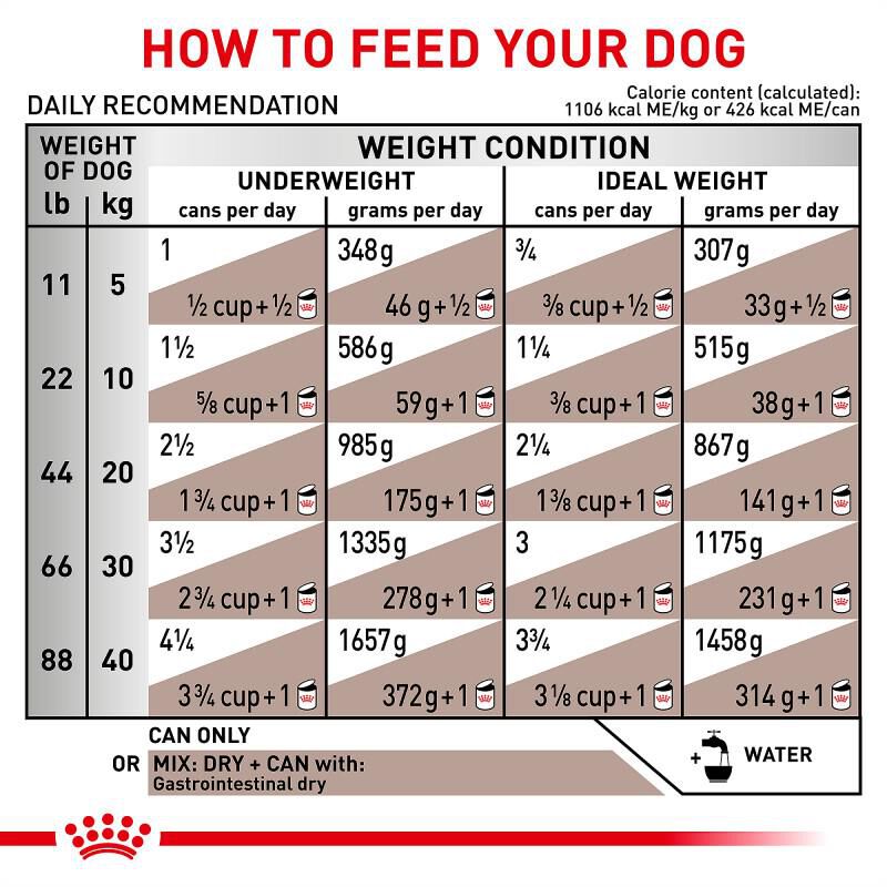 Royal Canin Veterinary Diet Adult Gastrointestinal Loaf Canned Dog Food, 24 x 13.5 oz cans