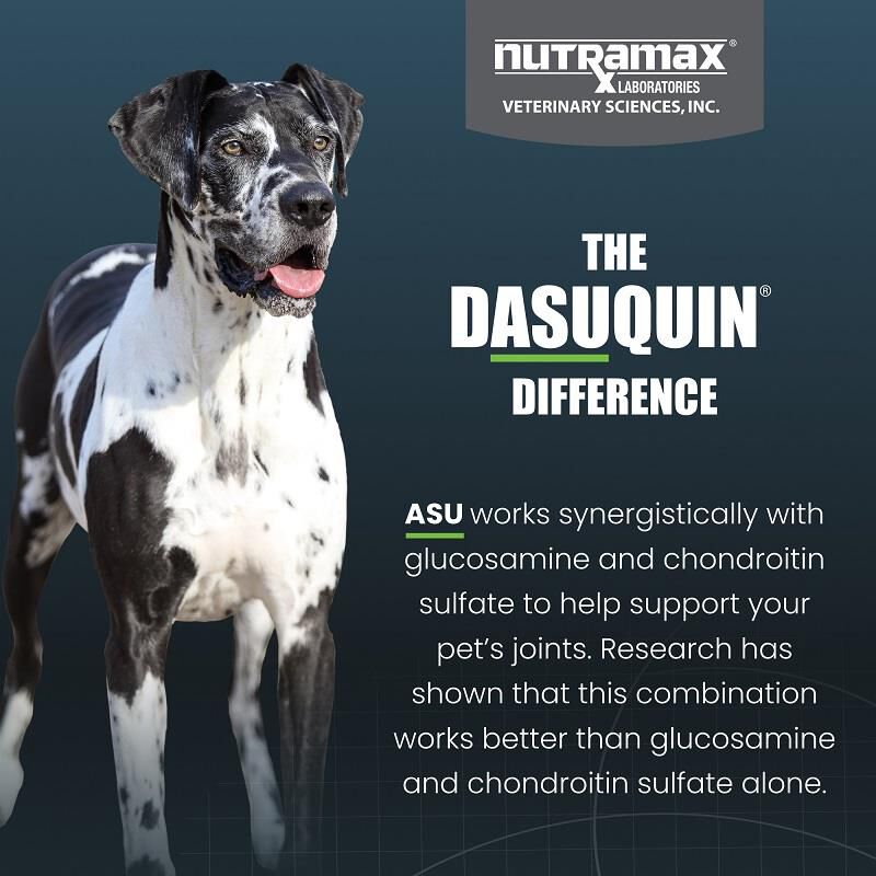 Dasuquin with MSM Soft Chews for Large Dogs over 60 lbs, 42 Ct.
