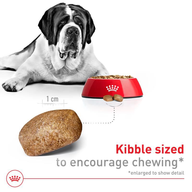 Royal Canin Size Health Nutrition Giant Adult Dry Dog Food, 30 lb bag