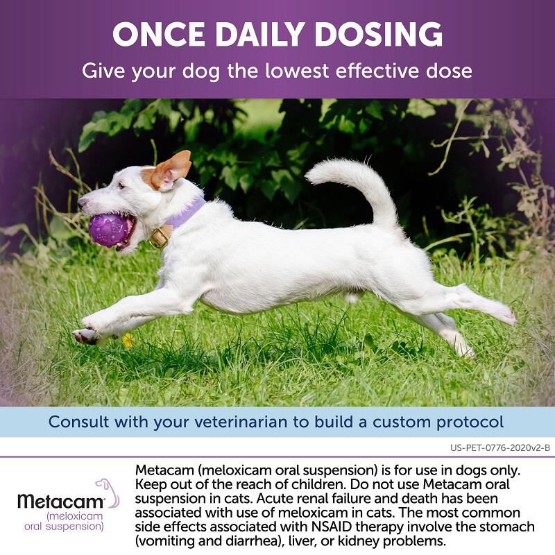 Metacam 0.5 mg/ml Oral Suspension, 15 ml