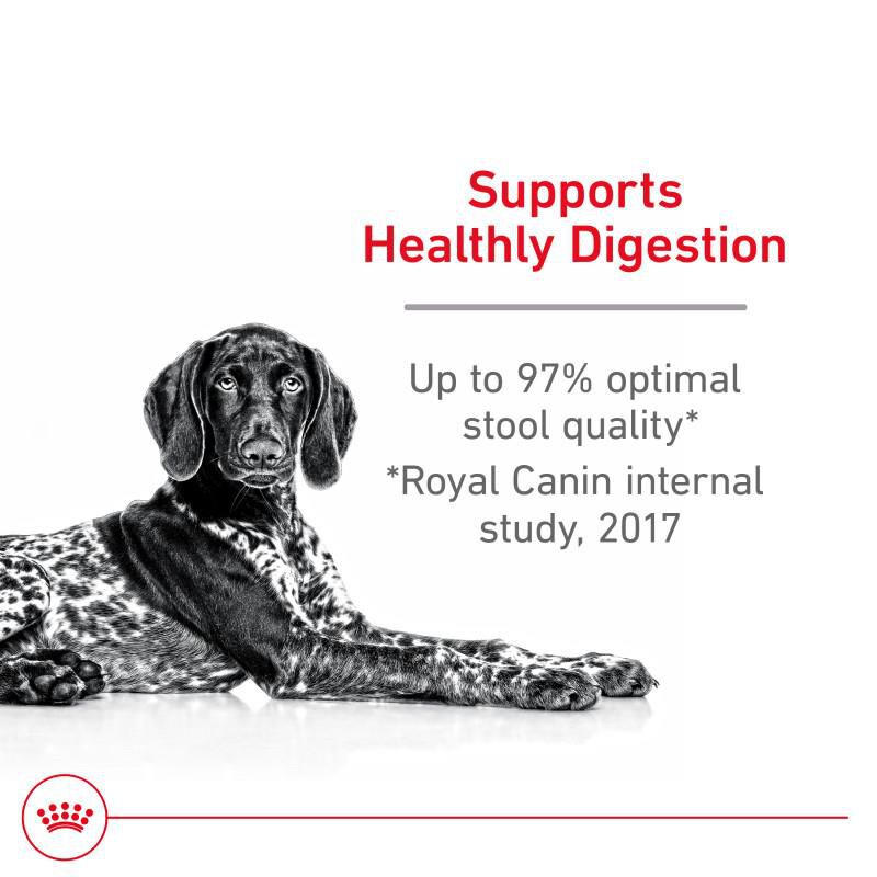 Royal Canin Canine Care Nutrition Adult Large Digestive Care Dry Dog Food, 30 lb bag