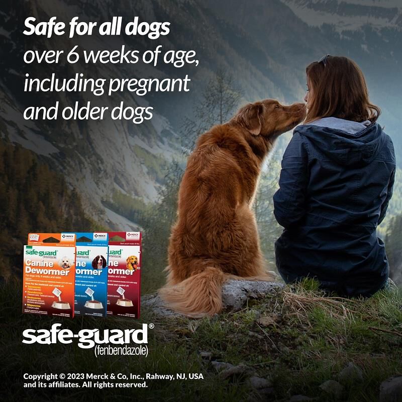 Safe-Guard Canine Dewormer 3x1 gm
