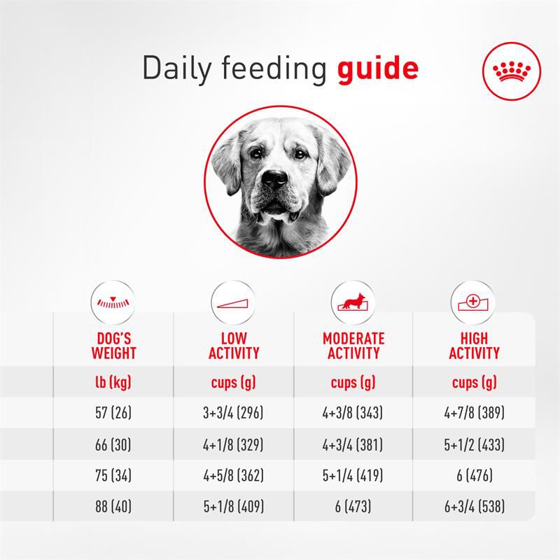Royal Canin Breed Health Nutrition Golden Retriever Adult Dry Dog Food