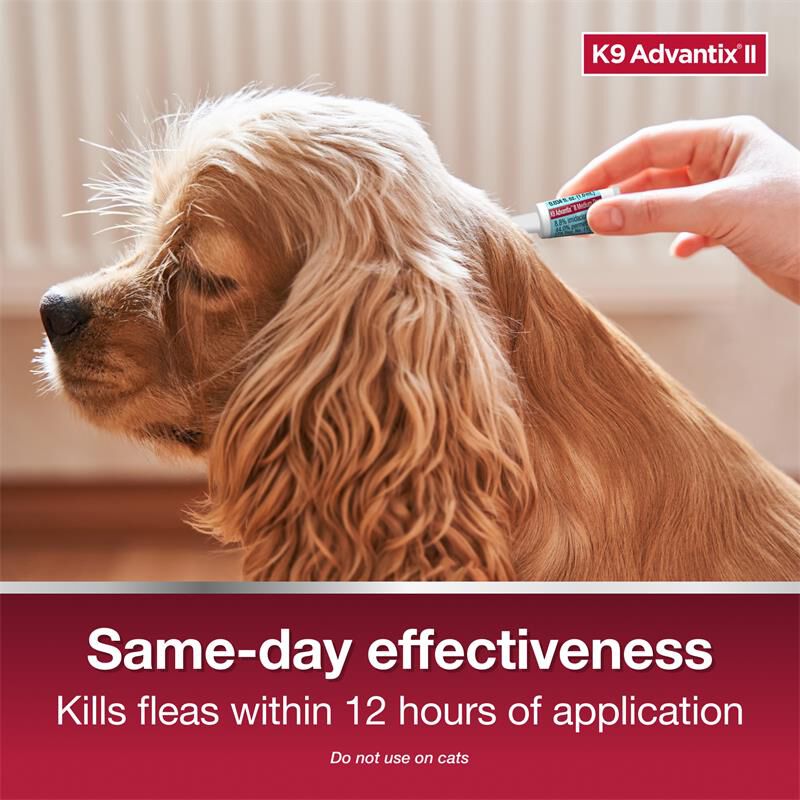 K9 Advantix II for Dogs 11 - 20 lbs Teal, 1 Month Supply