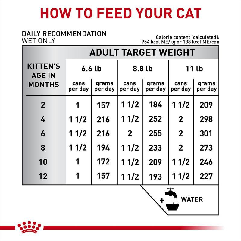 Royal Canin Veterinary Diet Gastrointestinal Kitten Ultra Soft Mousse in Sauce Canned Food, 24 x 5.1 oz cans