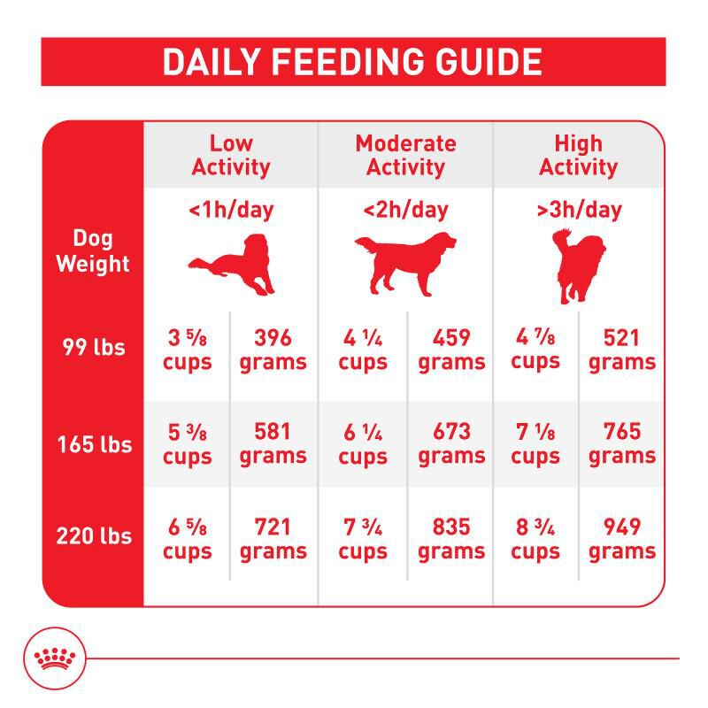 Royal Canin Size Health Nutrition Giant Adult Dry Dog Food, 30 lb bag