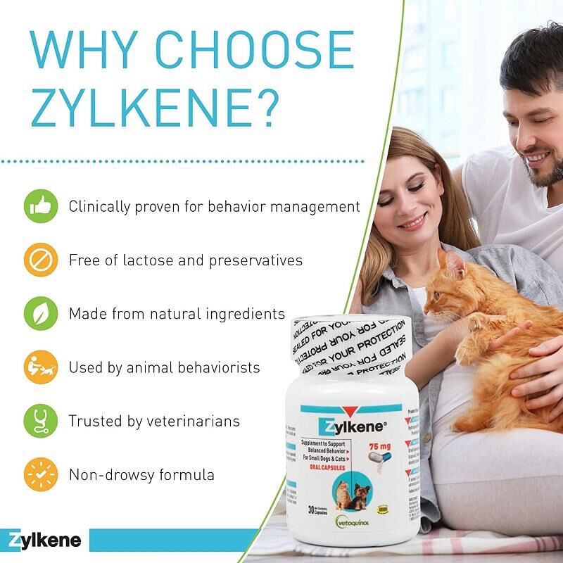 Zylkene 75 mg 30 Capsules