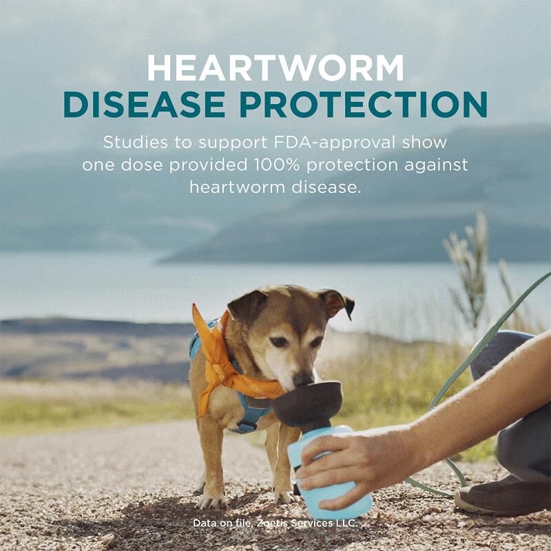 Simparica Trio for Dogs - for Heartworm, Fleas & Ticks