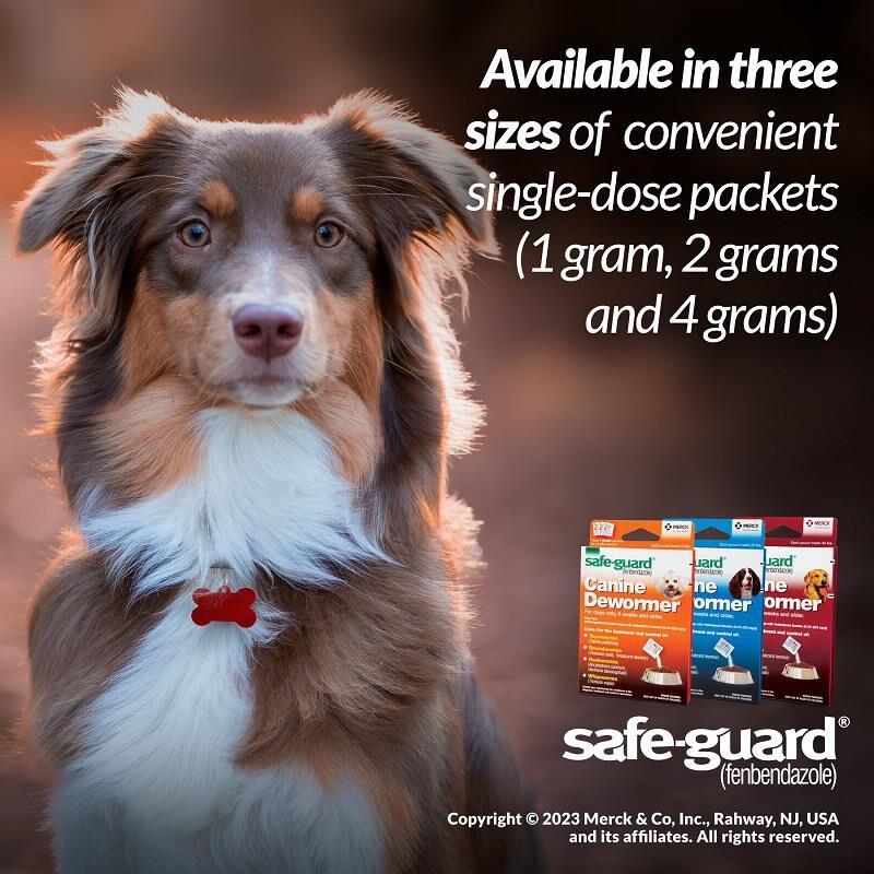Safe-Guard Canine Dewormer 3x1 gm